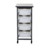 Luxor 17 in. x 20 in. Mobile Bin Storage Cart Single Row and Double Bin in Black Frame