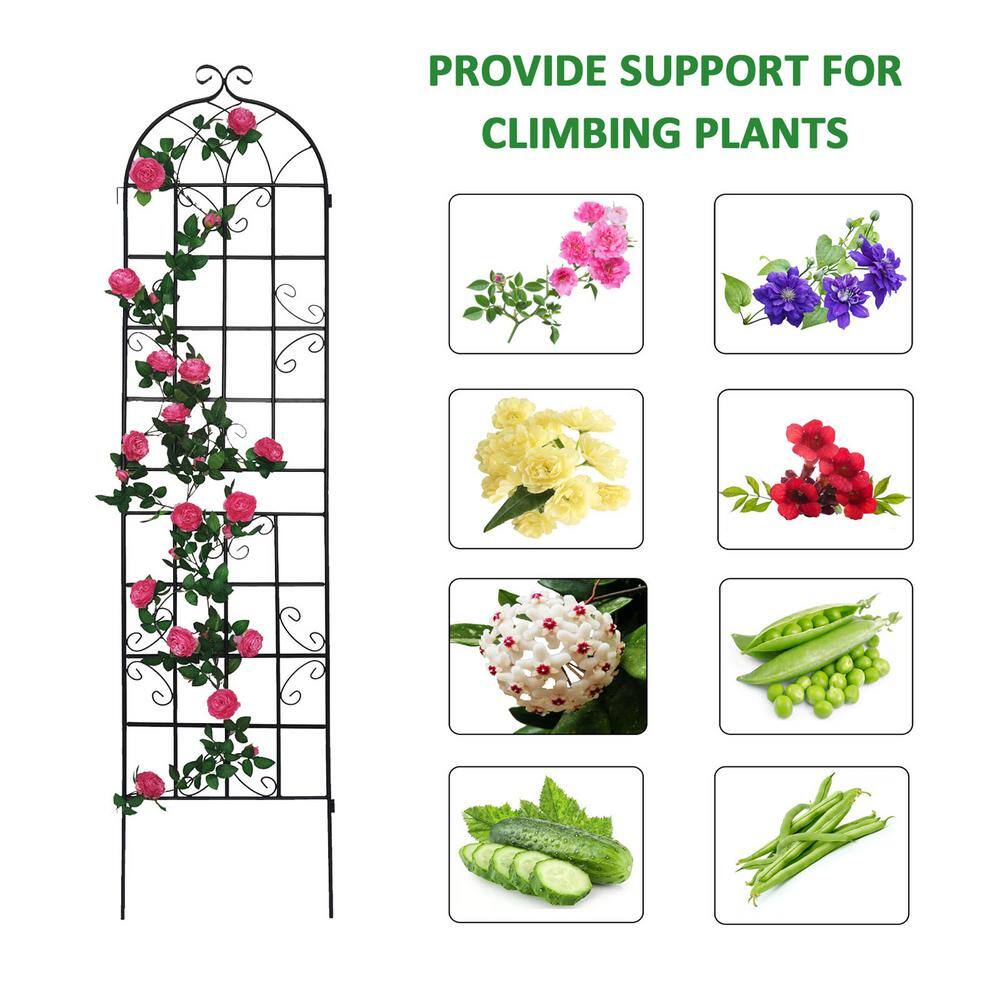 Tunearary 7.2 ft. Black Outdoor Metal Rustproof Garden Trellis, (2-Pack)