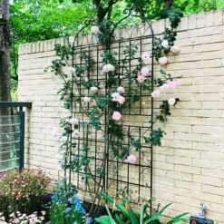 Tunearary 7.2 ft. Black Outdoor Metal Rustproof Garden Trellis, (2-Pack)