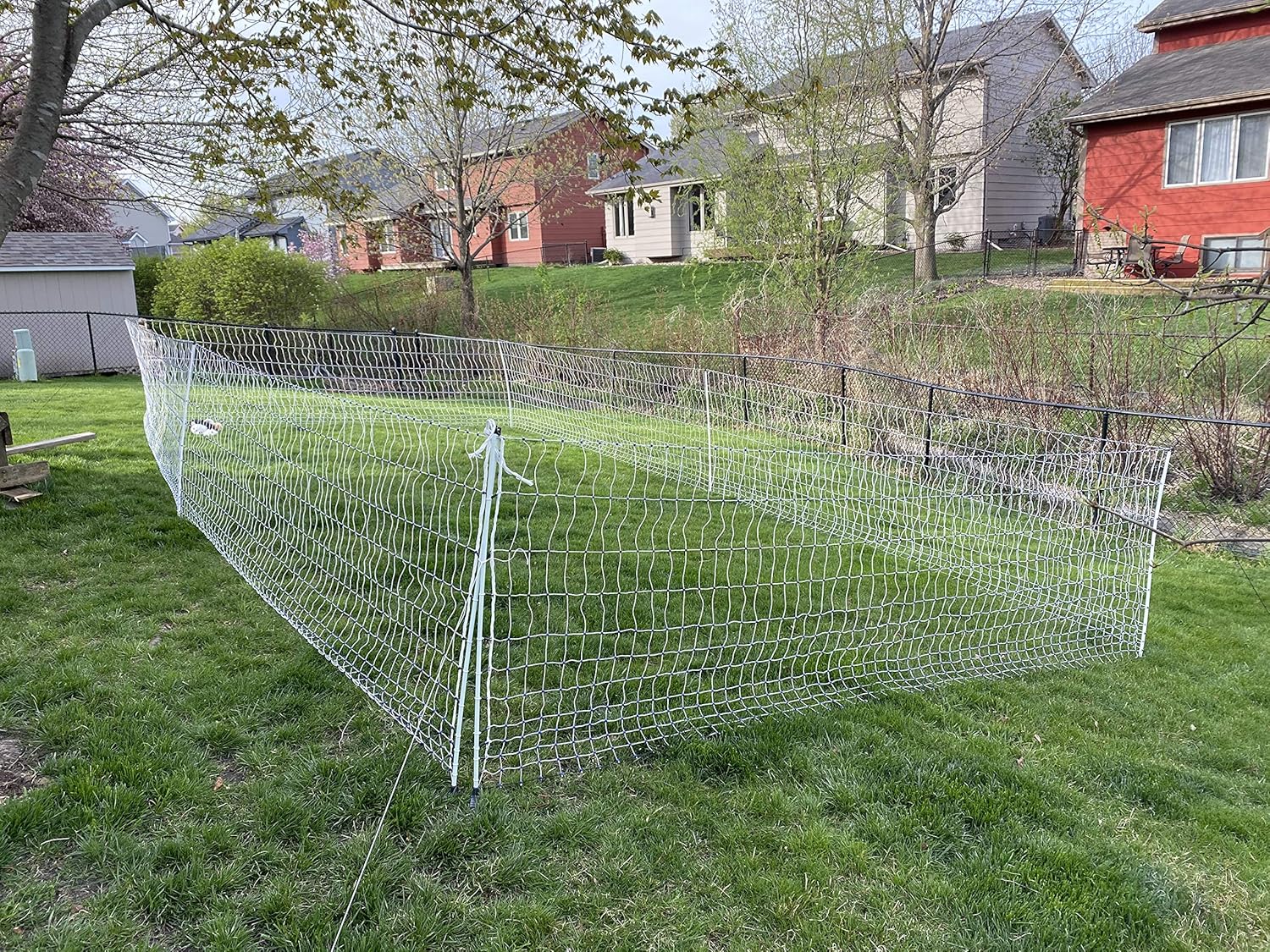 Starkline 48" x 164' Electric Poultry Netting with Double Spiked Fiberglass Posts | Electric Fence for Chickens in Backyards, Homesteads, Farms and Ranches