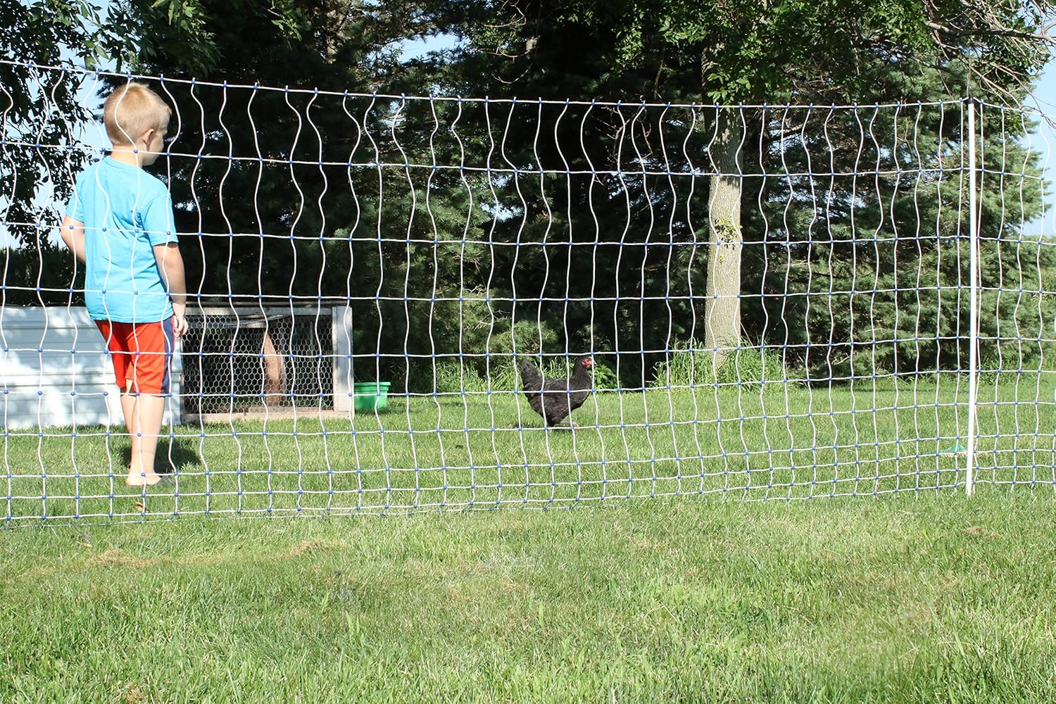 Starkline 48" x 164' Electric Poultry Netting with Double Spiked Fiberglass Posts | Electric Fence for Chickens in Backyards, Homesteads, Farms and Ranches