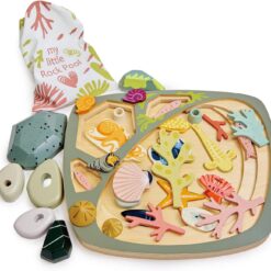 Tender Leaf Toys - My Little Rock Pool - 35 Piece Wooden Sea Life Set with Illustrated Drawstring Bag