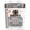 Paver Sealer - 8600 Wet Look (Medium Gloss) - 5 Gallon Covers up to 875-1250 sq ft (2 Coats)| Concrete Sealer Outdoor