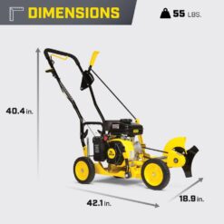 Champion Power Equipment 9 in. 79 cc Gas Powered 4-Stroke Walk Behind Lawn Edger 201465