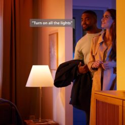 Philips Hue Indoor/Outdoor Holiday 65-Foot Festavia String Lights