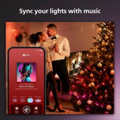 Philips Hue Indoor/Outdoor Holiday 65-Foot Festavia String Lights