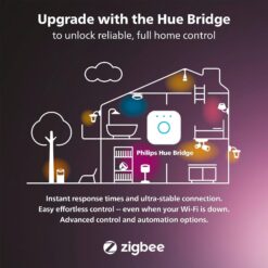 Philips Hue Indoor/Outdoor Holiday 65-Foot Festavia String Lights