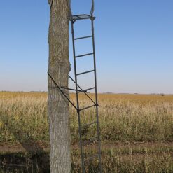Big Game Warrior DXT Ladderstand