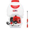 Tomahawk Power 5 Gal. Gas Power Backpack Sprayer with Fogging Attachment for Pesticide, Disinfectant and Fertilizer TPS25 + CG
