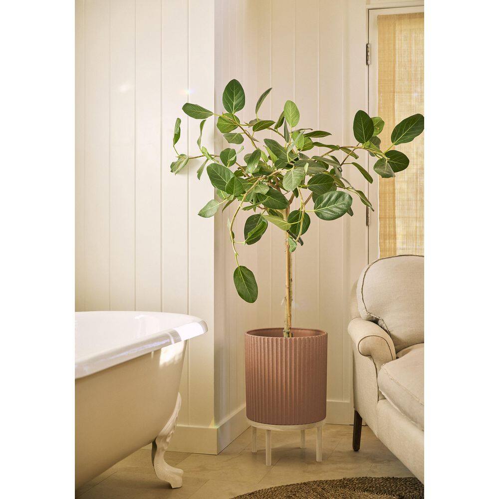Veradek Demi 16 in. Raised with Stand Round Terracotta Plastic Planter with White Stand (2 Pack) DMSTV16AW-2PK
