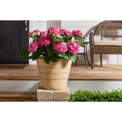 Vigoro Sorrento Washd Sand Cast Stone Triple Band L 18in. L x 18 in. W x 14 in. H Beige Stone Decorative Pots (Pack of 4)