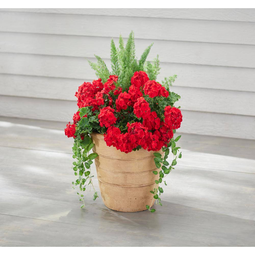 Vigoro Sorrento Washd Sand Cast Stone Triple Band L 18in. L x 18 in. W x 14 in. H Beige Stone Decorative Pots (Pack of 4)