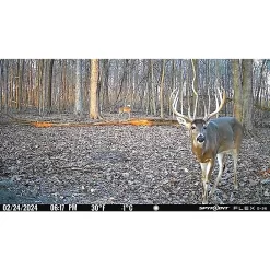 SpyPoint Flex G36 36.0 MP Cellular Game Cameras 2-Pack