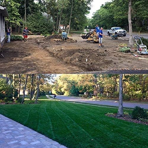 Barenbrug Turf Saver RTF Grass Seed w/Yellow Jacket Coating- Less Water Self-Repairing Tall Fescue Turf (50 LB Bag)