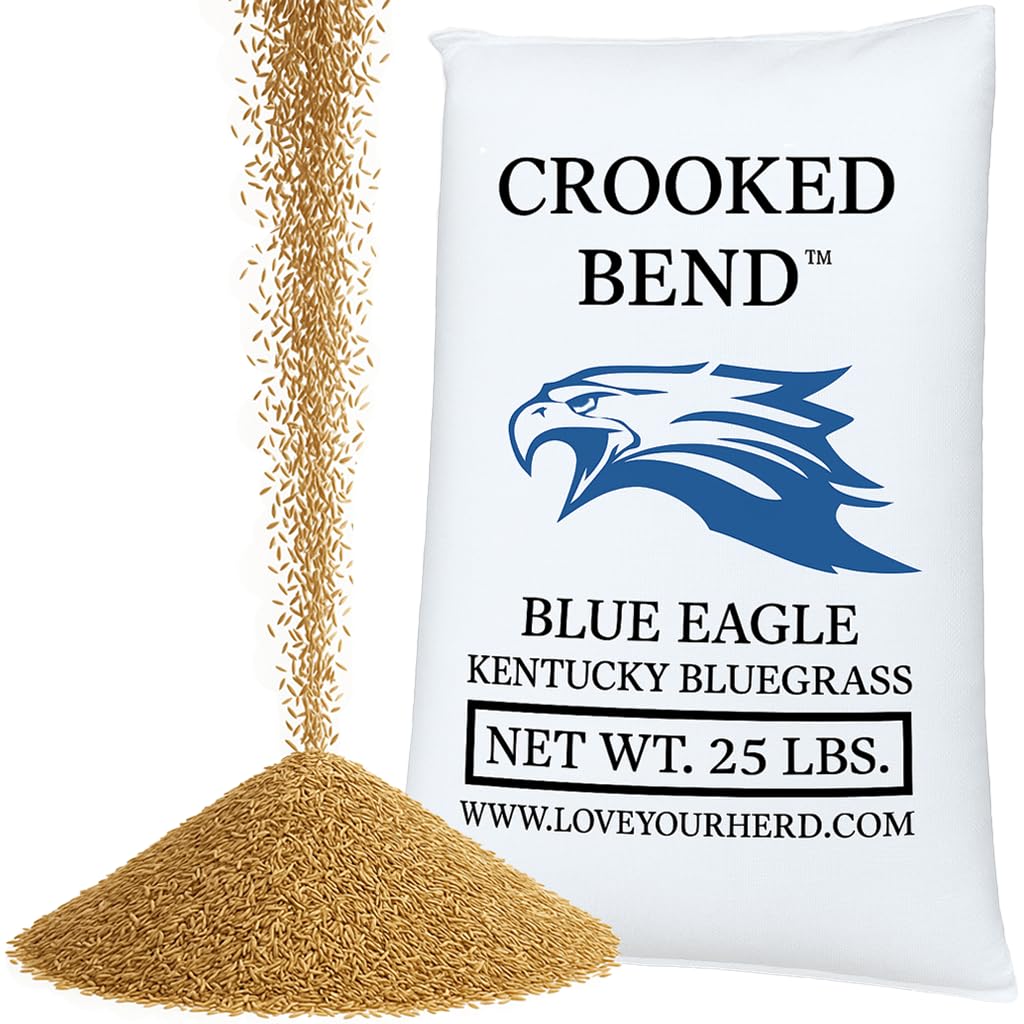 Blue Eagle Kentucky Bluegrass Seed, 25LB Bulk Bag, Uncoated & No Fill, Grow Beautiful & Best Yards, Cold Tolerant