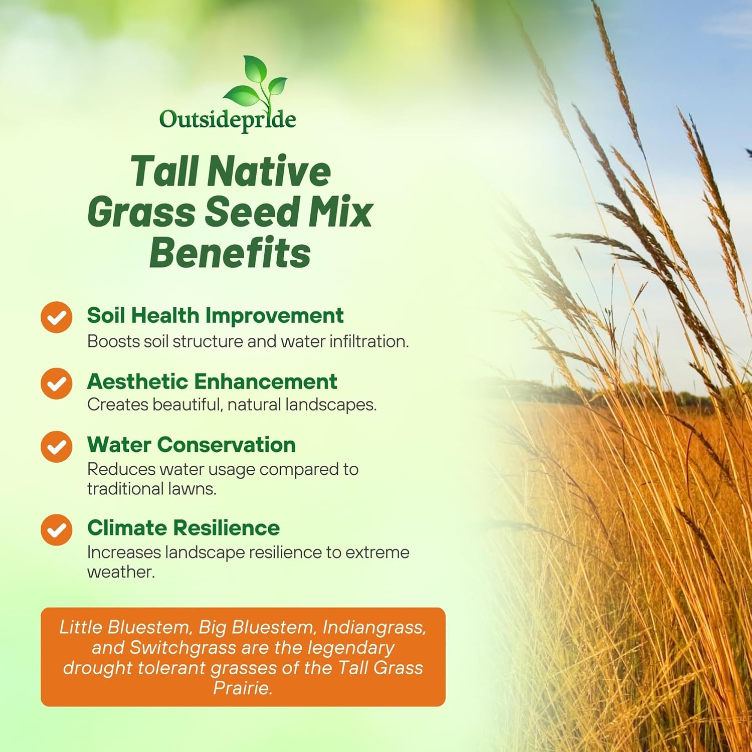 Outsidepride Perennial Tall Native Grass Seed Mix - 25 lbs. Blend of Drought-Tolerant, Low-Maintenance Bluestem