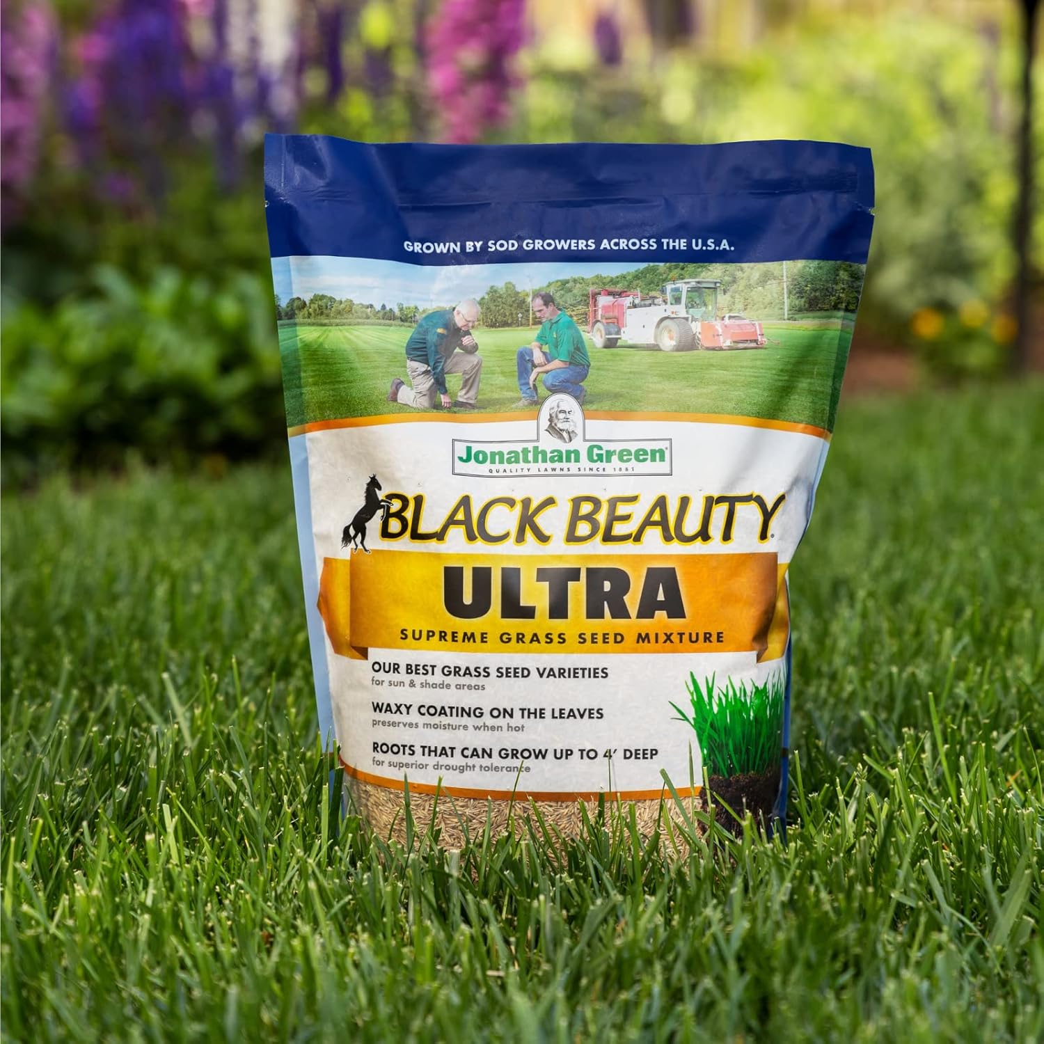 Jonathan Green (10324) Black Beauty Ultra Grass Seed - Cool Season Lawn Seed (50 lb)