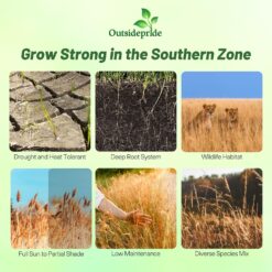 Outsidepride Perennial Tall Native Grass Seed Mix - 25 lbs. Blend of Drought-Tolerant, Low-Maintenance Bluestem