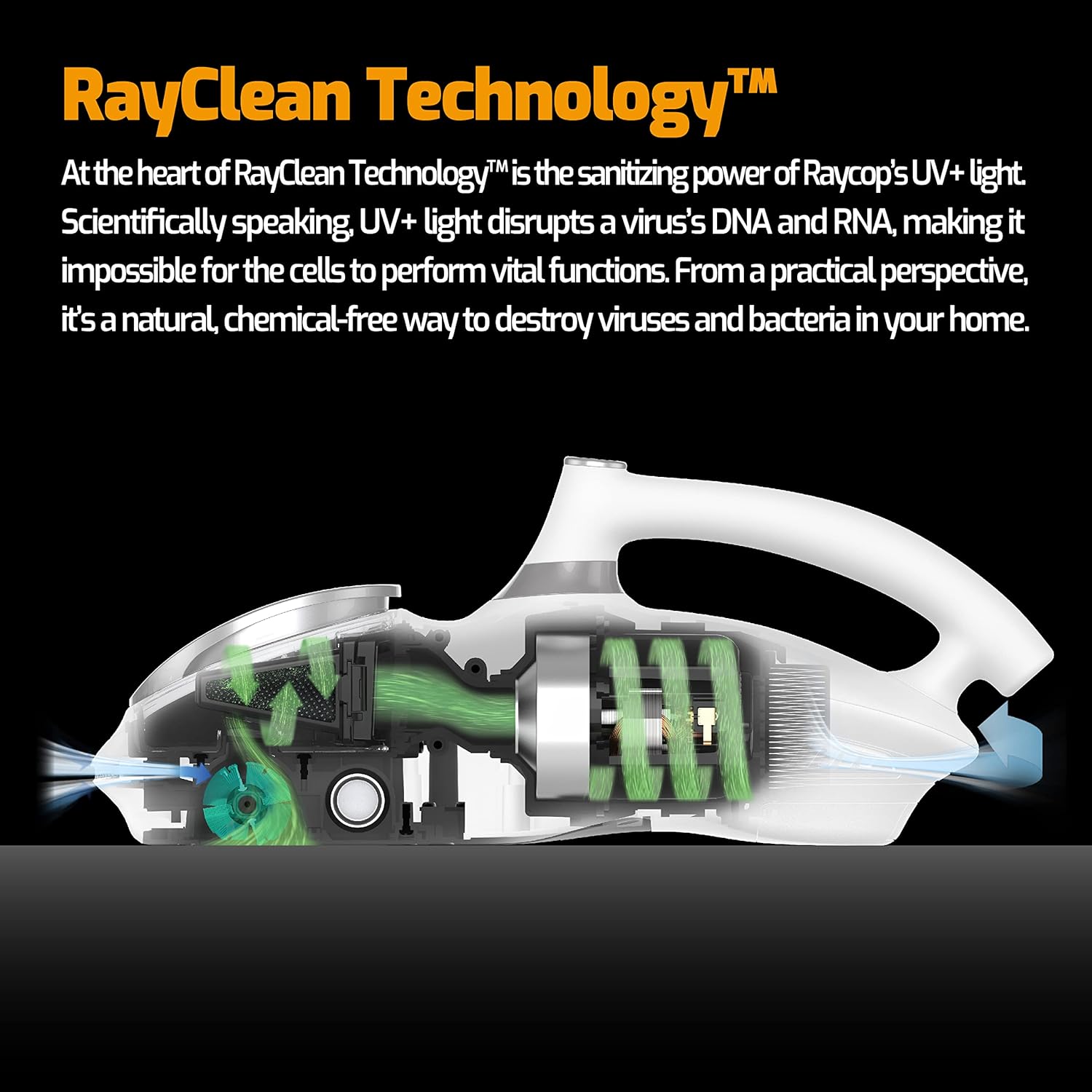Raycop RN Bed Vacuum Cleaner with UV Light and Pulsating Brush Technology for Pet Hair Cleaning - 15Kpa Powerful Suction