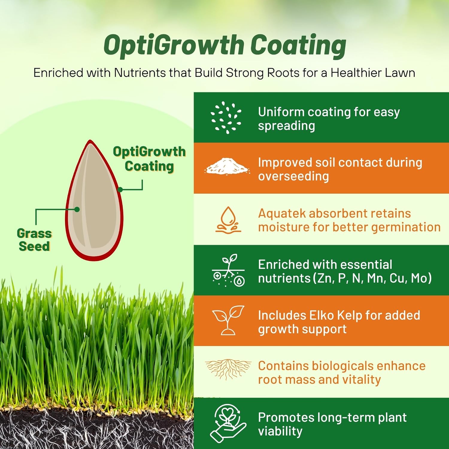 Outsidepride Midnight Kentucky Bluegrass Seed - 50 Lbs. Cold & Drought Tolerant, Sun-Loving Lawn Grass Seed