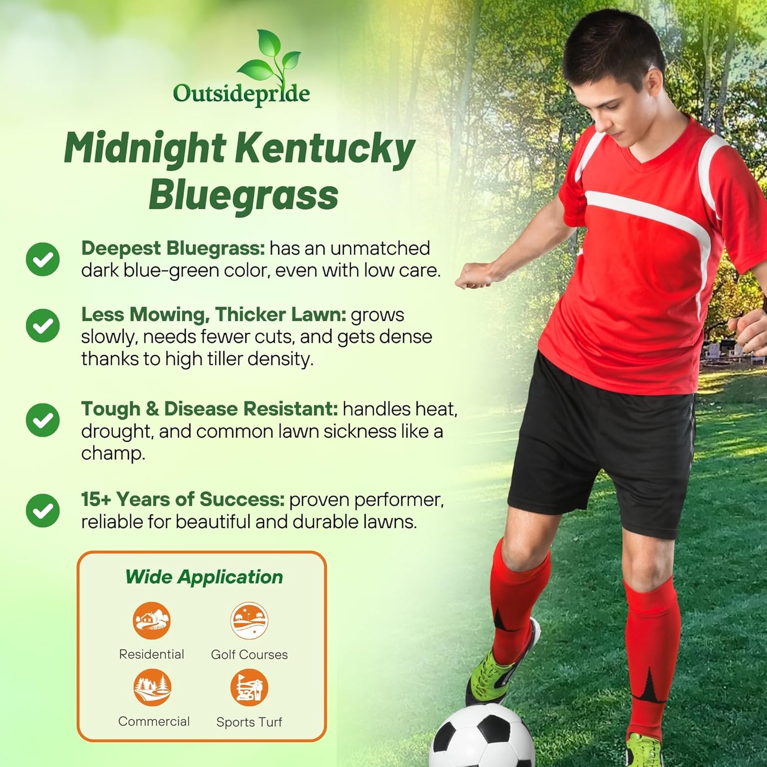 Outsidepride Midnight Kentucky Bluegrass Seed - 50 Lbs. Cold & Drought Tolerant, Sun-Loving Lawn Grass Seed