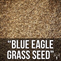 Blue Eagle Kentucky Bluegrass Seed, 25LB Bulk Bag, Uncoated & No Fill, Grow Beautiful & Best Yards, Cold Tolerant