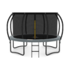 JUMPZYLLA Trampoline Outdoor 12FT with Enclosure and Ladder, ASTM Approved Recreational Trampoline for Kids and Adults, Anti-Rust Coated Frame, Gray