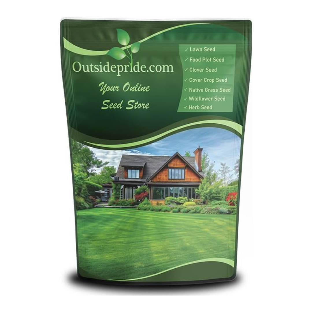 Outsidepride Kentucky Bluegrass - Midnight - 50 LBS