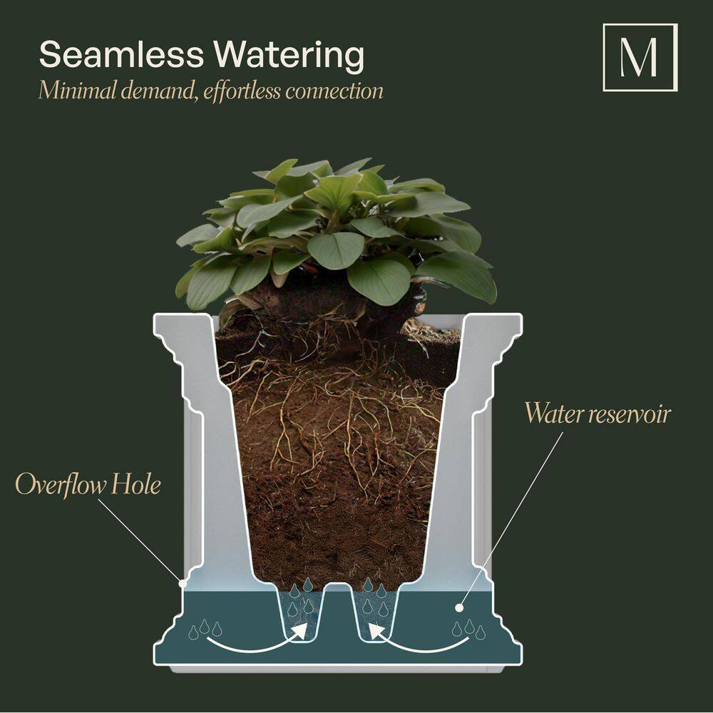 Mayne Cape Cod 20 in Square Self-Watering Black Polyethylene Planter