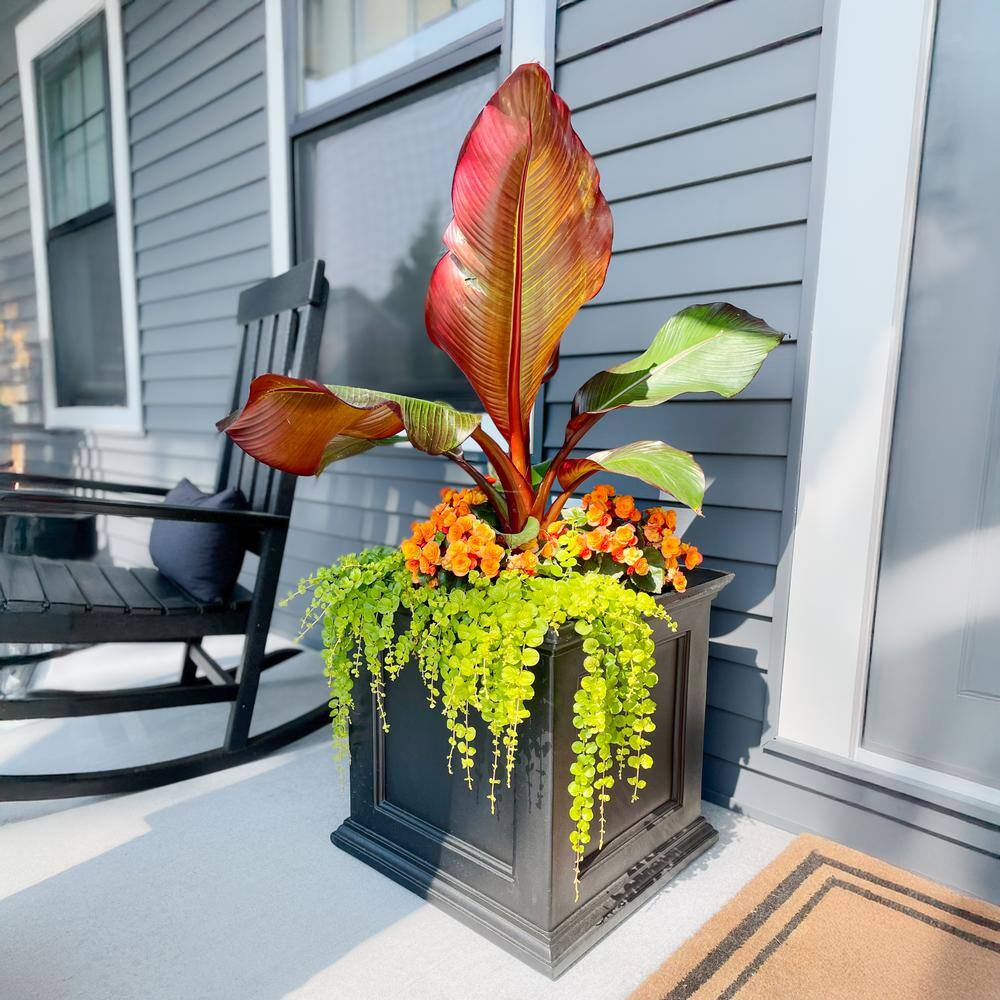 Mayne Fairfield 20 in. Square Self-Watering Black Polyethylene Planter
