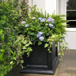 Mayne Fairfield 20 in. Square Self-Watering Black Polyethylene Planter