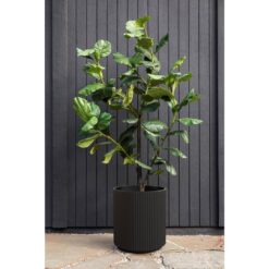 Veradek Demi 20 in. Round Black Plastic Planter (2 Pack)