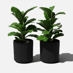 Veradek Demi 20 in. Round Black Plastic Planter (2 Pack)