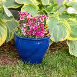 Sunnydaze Chalet Indoor/Outdoor Planter - 12 in. - Imperial Blue - Ceramic - Set of 2