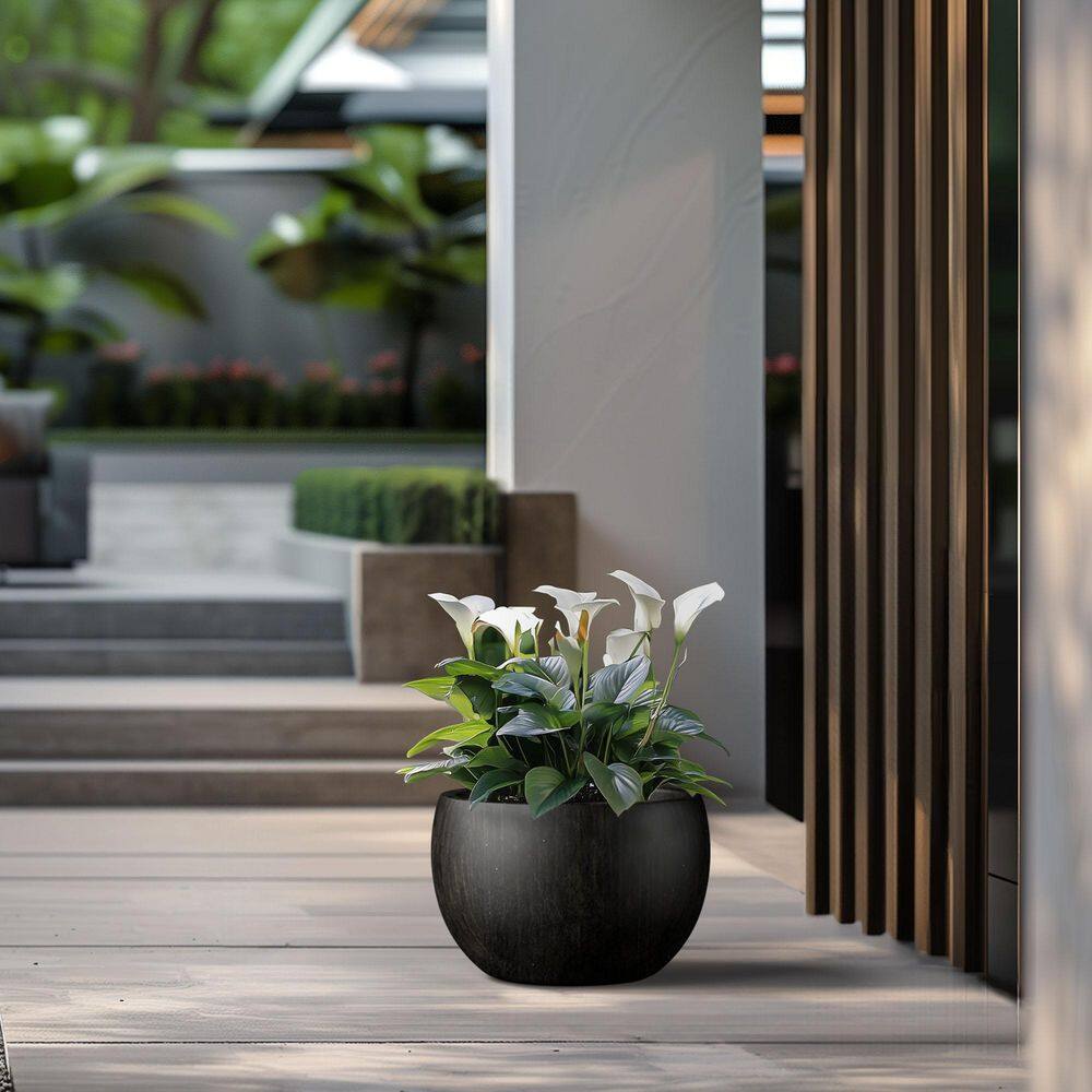 Morrava 19 in. Large Bronzed Black Concrete Round Planter / Pot with Drainage Holes