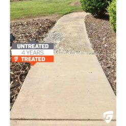 Ghostshield 1 Gallon Ultra Concentrate Invisible Penetrating Water Based Concrete and Masonry Sealer Plus Water and Salt Repellent