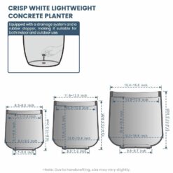 Sapcrete 15.5in., 12in., 8.5in. Dia Crisp White Extra Large Tall Round Concrete Plant Pot/Planter for Indoor & Outdoor Set of 3
