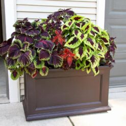 Mayne Fairfield 20 in. x 36 in. Self-Watering Espresso Polyethylene Planter