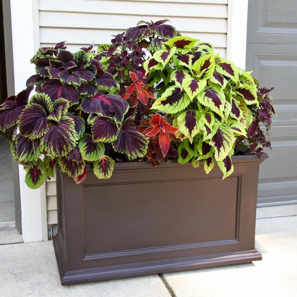 Mayne Fairfield 20 in. x 36 in. Self-Watering Espresso Polyethylene Planter