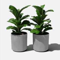 Veradek Demi 20 in. Round Grey Plastic Planter (2 Pack)