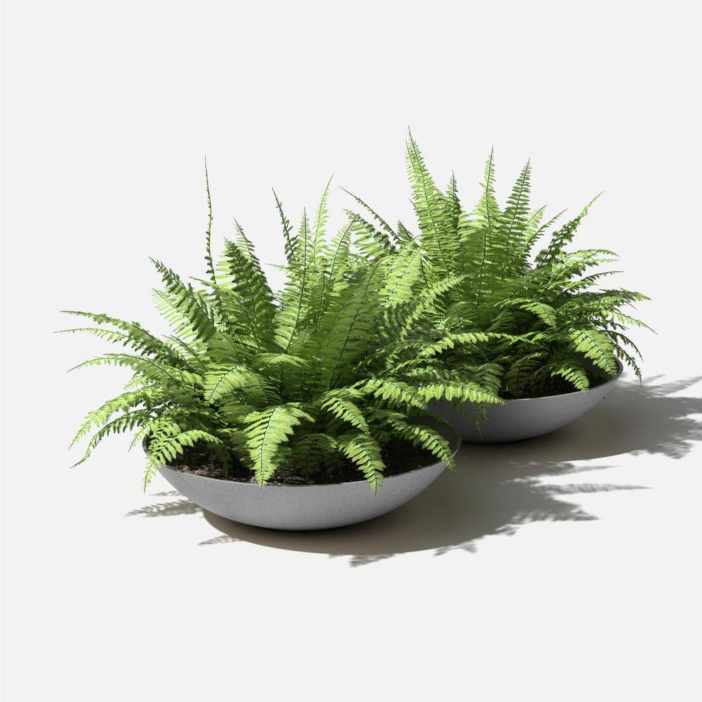 Veradek Lane Bowl 32 in. Gray Plastic Round Planter (2-Pack)