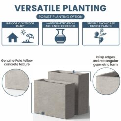 Sapcrete Modern 16 in., 24 in. High Large Tall Elongated Square Light Gray Outdoor Cement Planter Plant Pots Set of 2