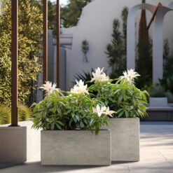 Sapcrete Modern 12 in., 16 in. High Large Tall Elongated Square Light Gray Outdoor Cement Planter Plant Pots Set of 2