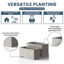 Sapcrete Modern 12 in., 16 in. High Large Tall Elongated Square Light Gray Outdoor Cement Planter Plant Pots Set of 2