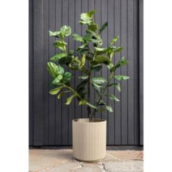Veradek Demi 20 in. Round Sand Plastic Planter (2 Pack)