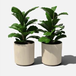 Veradek Demi 20 in. Round Sand Plastic Planter (2 Pack)