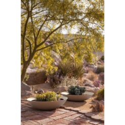 Veradek Lane Bowl 32 in. Sand Plastic Round Planter (2-Pack)