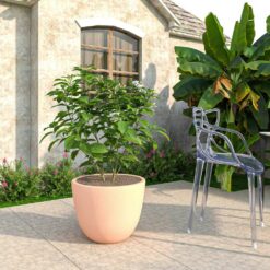 Leisuremod Dahlia Modern 21.5 in. Terracotta Fiberstone and Clay Tapered Round Planter for Indoor and Outdoor