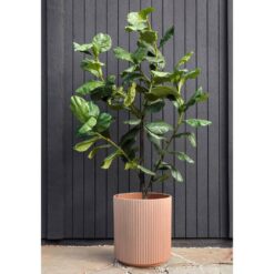 Veradek Demi 20 in. Round Terracotta Plastic Planter (2 Pack)