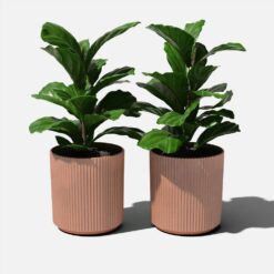 Veradek Demi 20 in. Round Terracotta Plastic Planter (2 Pack)
